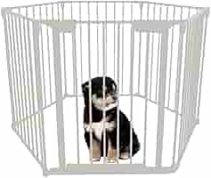 Amazon | シンセーインターナショナル アイリスプラザ 犬